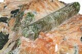 Huge, Apatite Crystals in Orange Calcite - Yates Mine, Quebec #152176-3